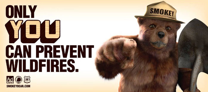 only you can prevent wildfires